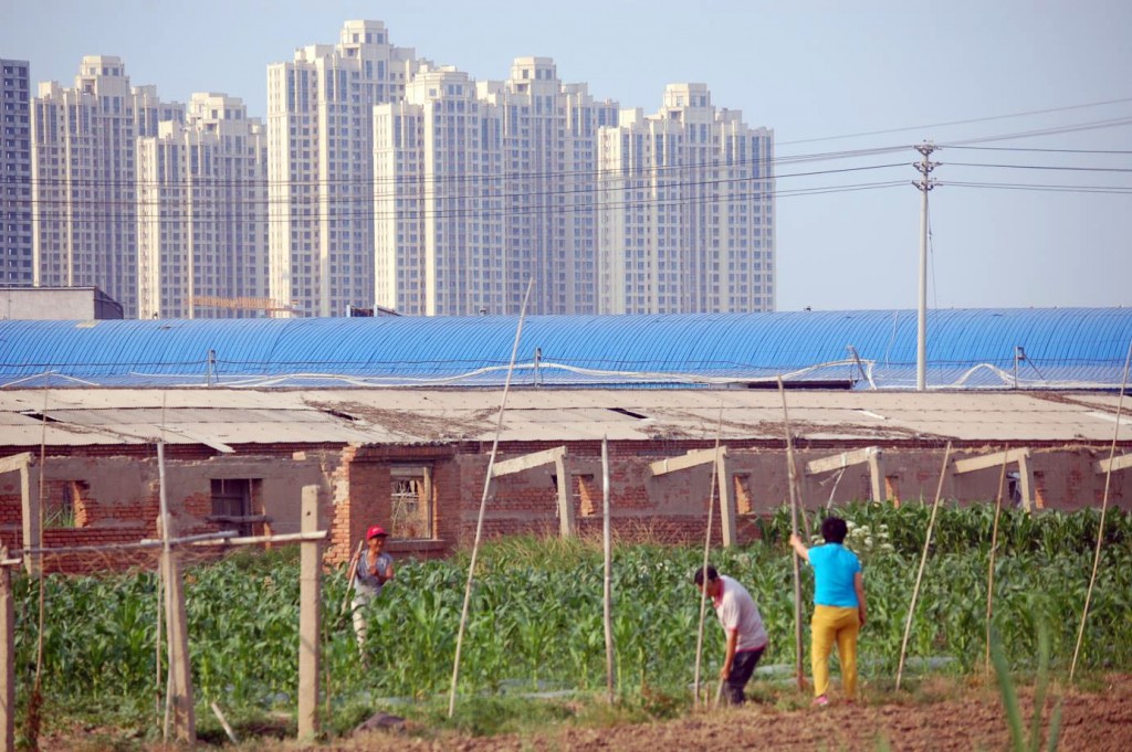 A view from the farmland in Hetou with high-rising apartment buildings in the background. The blue roof is the Northeast Tilt Market, which takes major parts of the arable farmland from Hetou and two villages nearby.