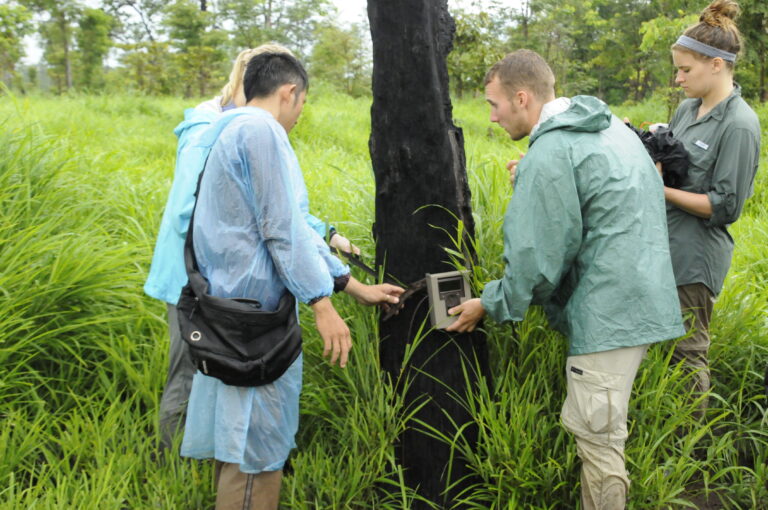 Students from the University of Wisconsin - Eau Claire setting up an infrared camera to gauge biological diversity in a sacred forest in Cambodia. (2013)