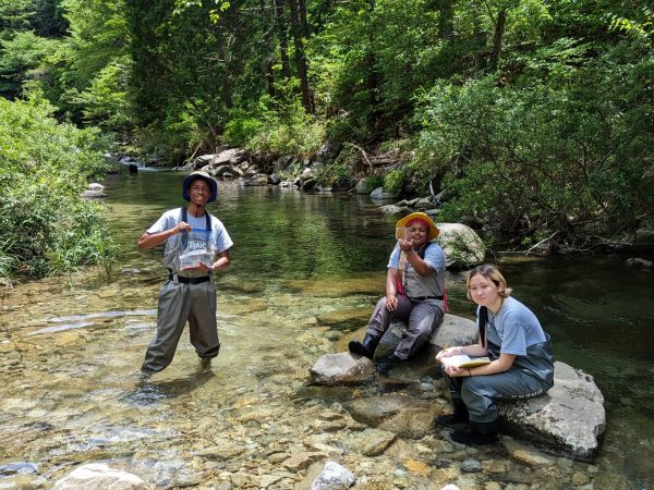Three students are collecting water samples for environmental DNA analysis
(Pictured: Ibrahim Ware, Tseday Robinson, Luna Horsley)