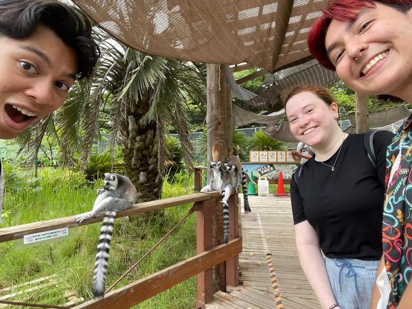 Students with ring-tailed lemurs at the Japan Monkey Park in Inuyama Japan.
(Pictured: