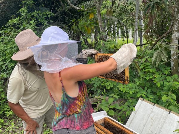 Tara working with the local beekeeper.